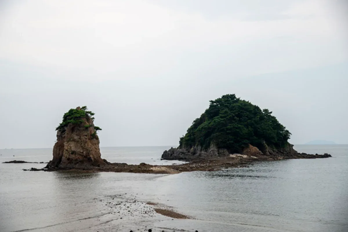 안면도 해안관광도로(꽃지 노을길) 대표 사진 — 충남 태안 안면읍 드라이브