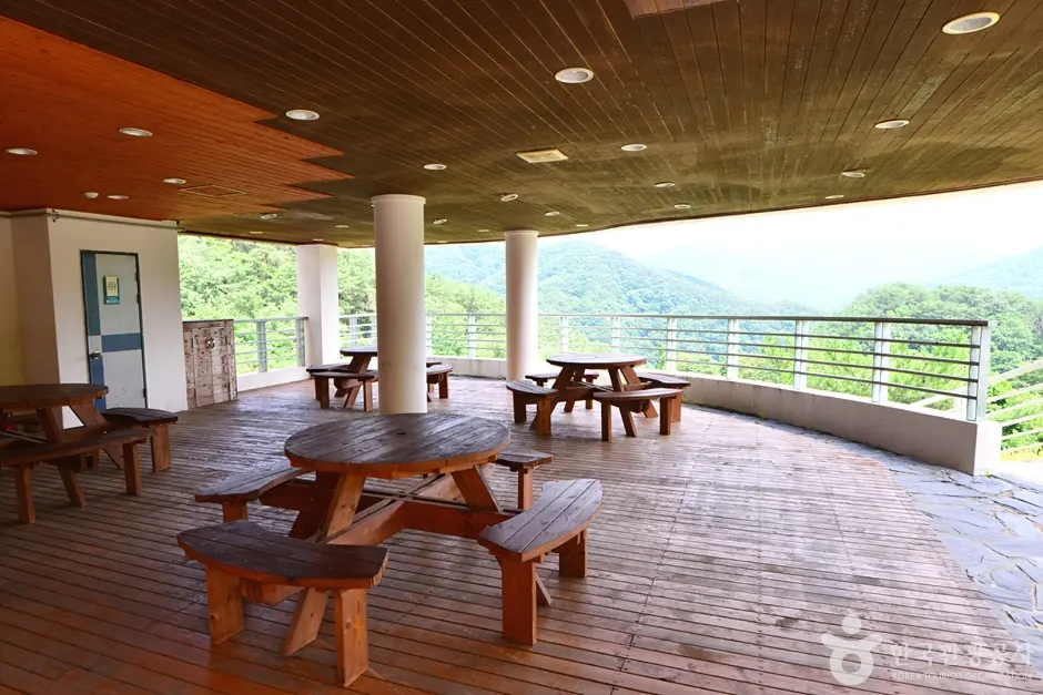 백아산 산악길(둔병재) 현장 사진 2 — 전남 화순 백아면