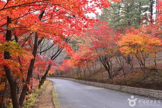 백아산 산악길(둔병재) — 전남 화순 백아면 와인딩