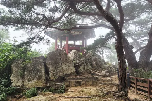 장원막국수 — 충남 부여군 바이크