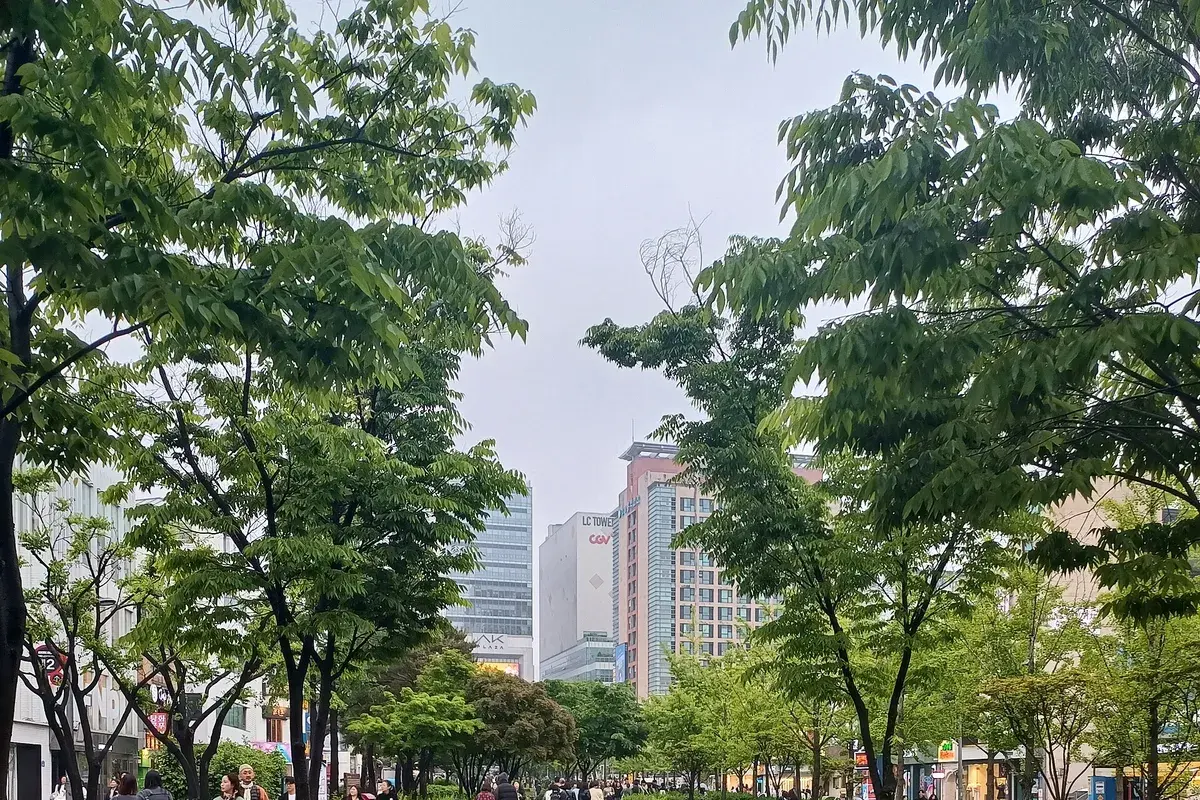 딥커피 현장 사진 2 — 서울 마포구