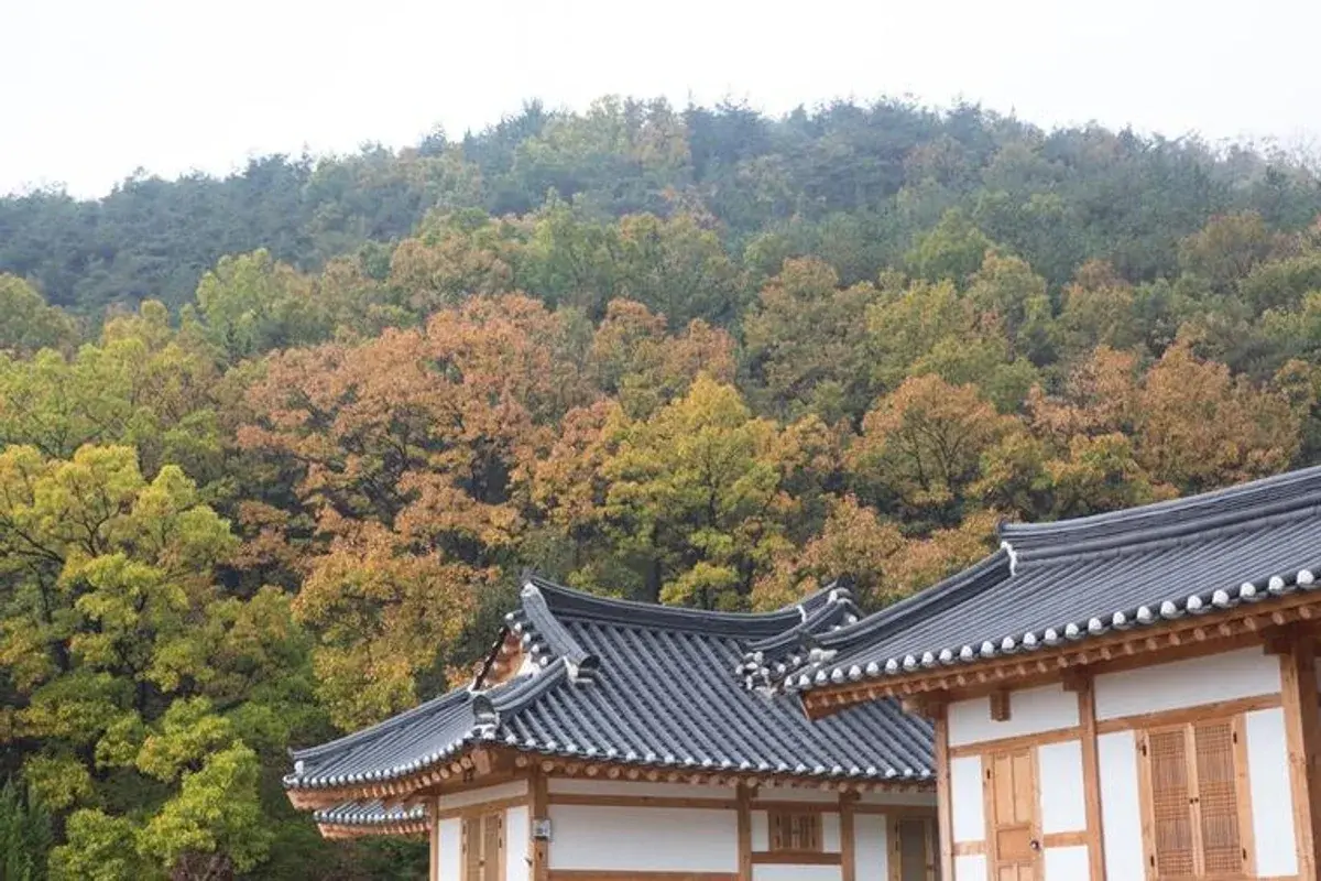 옻골마을 현장 사진 5 — 대구 동구