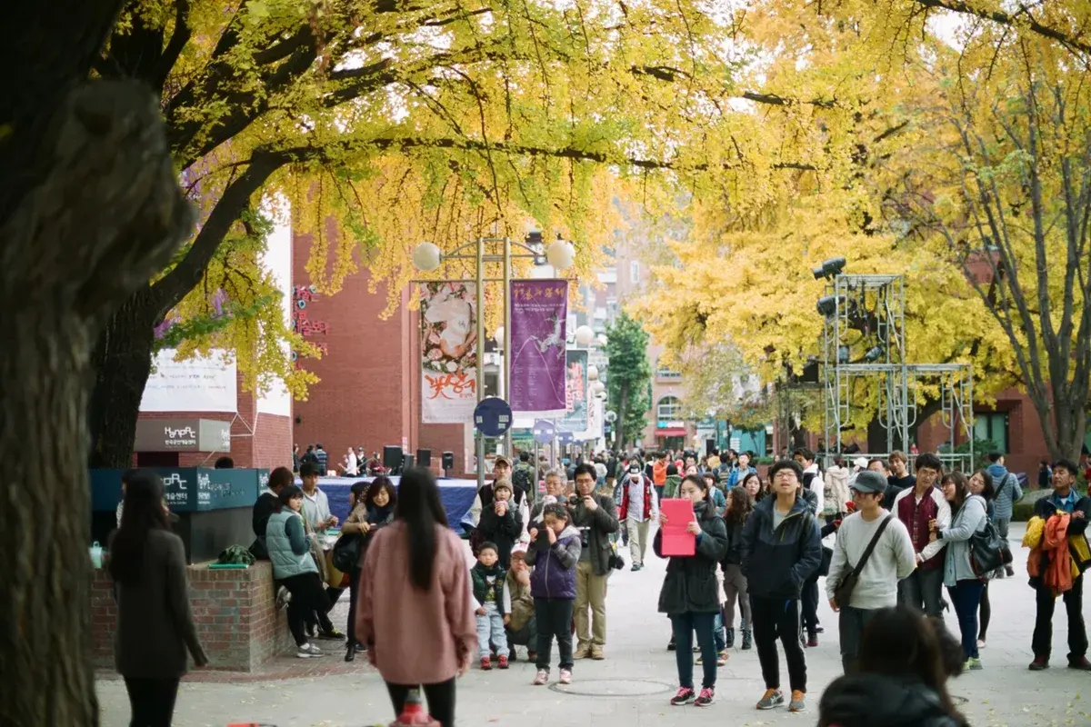 마로니에공원 현장 사진 2 — 서울 종로구