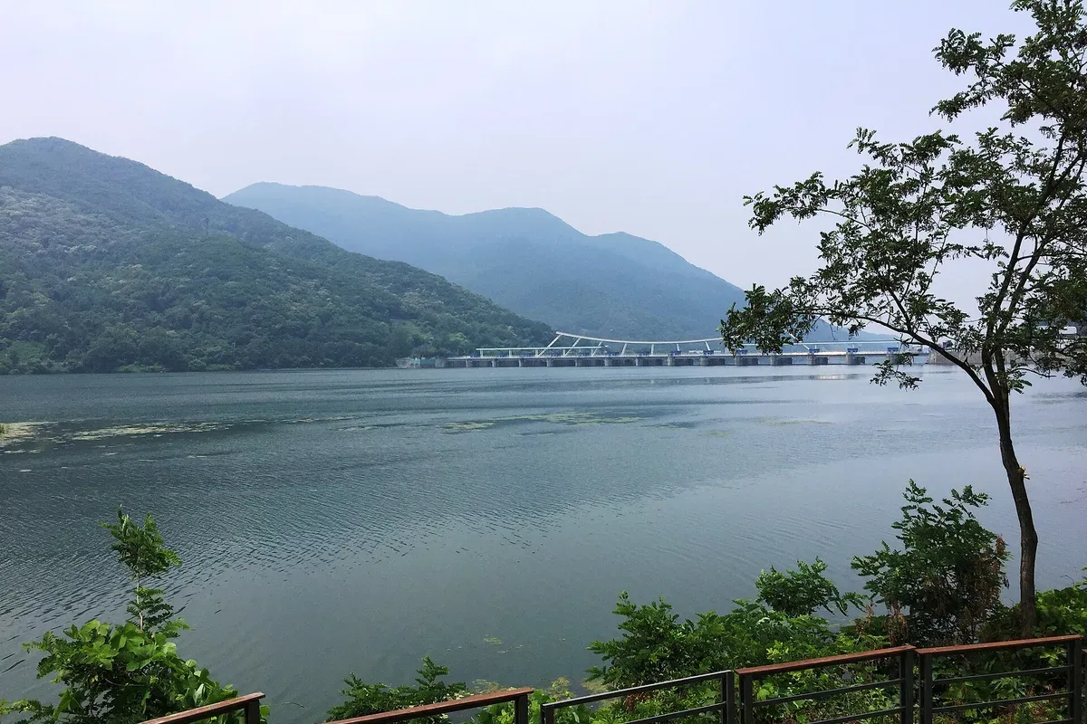 봉주르팔당 대표 사진 — 경기 남양주 조안 카페