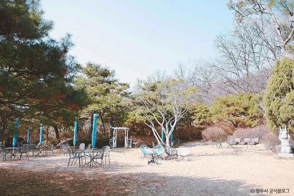 버터우드 대표 사진 — 경기 양주 카페