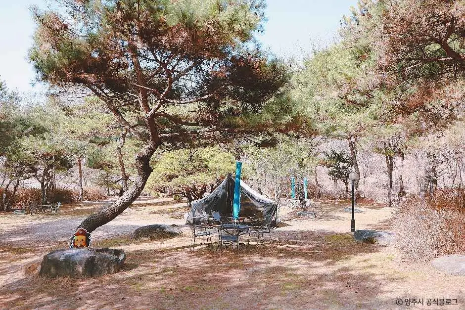 버터우드 현장 사진 2 — 경기 양주