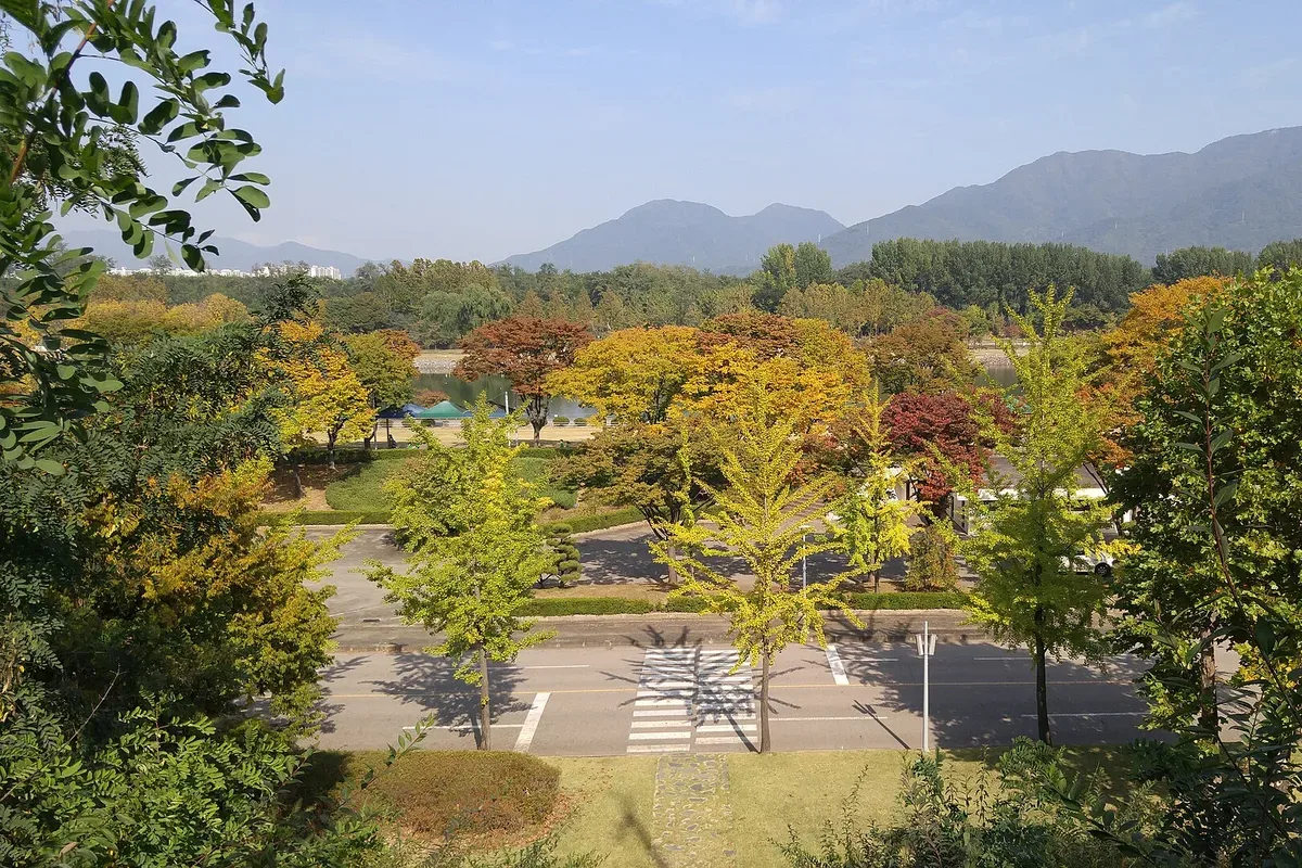 드말리 베이커리 앤 다이닝 대표 사진 — 경기 하남 미사 카페