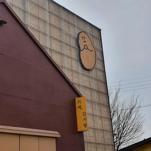 카페 감자밭 — 강원 춘천 신북읍 카페