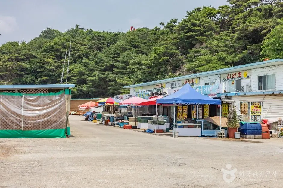 강화 석모도 해안도로 현장 사진 4 — 인천 강화 석모도