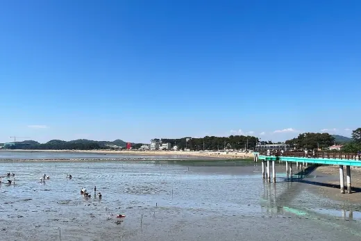 궁평항 뷰카페 — 경기 화성 서신 카페