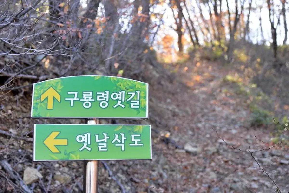 구룡령 현장 사진 5 — 강원 양양~홍천