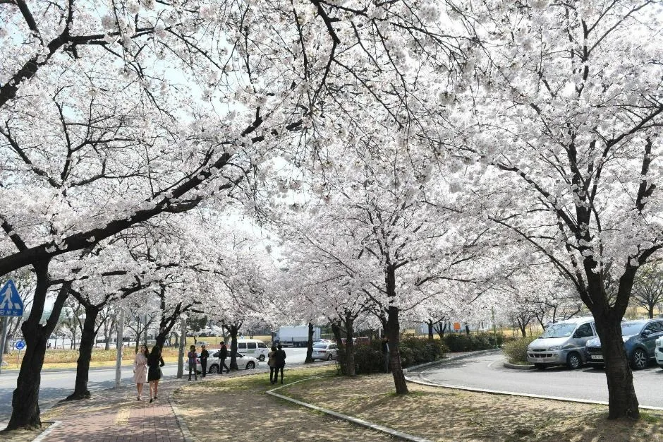해월당 동촌유원지점 대표 사진 — 대구 동구 효목동 카페