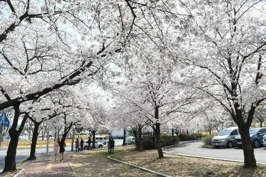해월당 동촌유원지점 — 대구 동구 효목동 카페