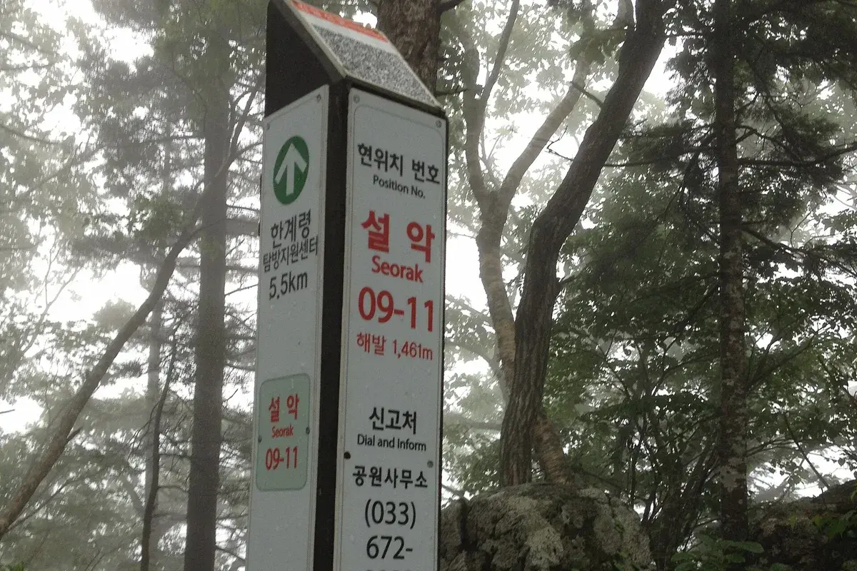 한계령 현장 사진 2 — 강원 인제~양양