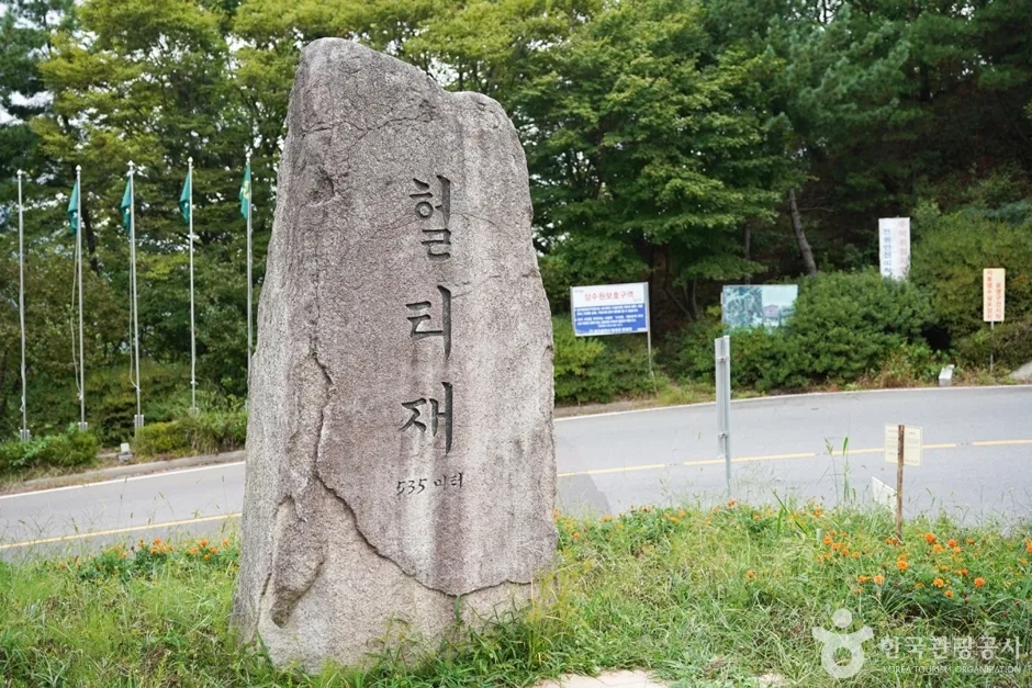 헐티재 대표 사진 — 대구 달성 가창면 와인딩