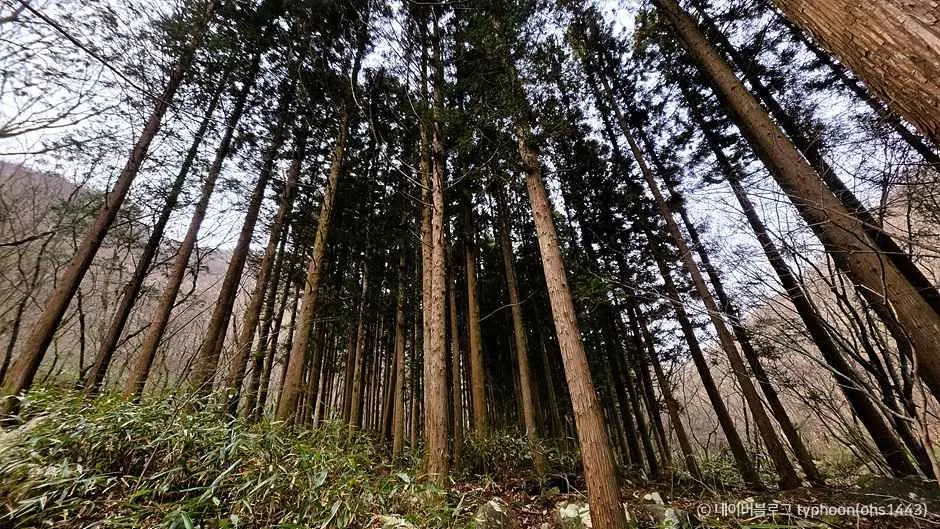 장성 입암산 코스 현장 사진 5 — 전남 장성군 북하면(전북 정읍 경계)