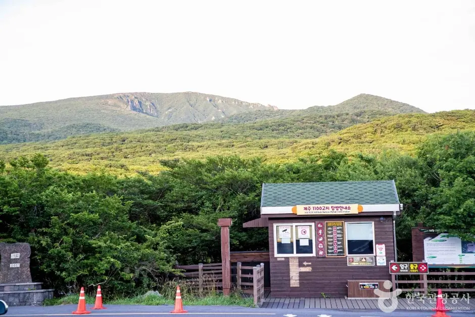 1100도로 현장 사진 4 — 제주 제주시↔중문