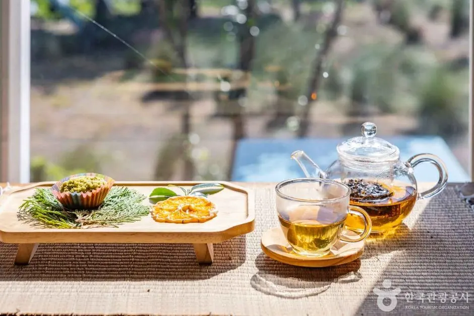 제주 제2산록도로(1115번) 현장 사진 3 — 제주 한경~상효(한라산 남쪽 중산간)