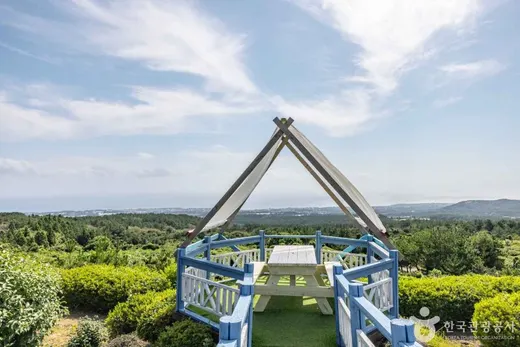 제주 제2산록도로(1115번) — 제주 한경~상효(한라산 남쪽 중산간) 드라이브