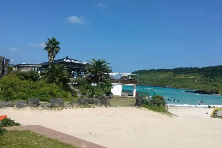 카페 델문도 함덕본점 현장 사진 4 — 제주 조천 함덕