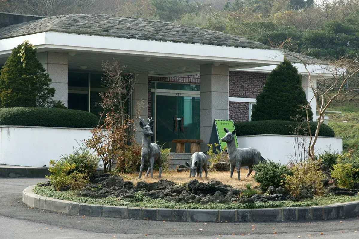 제1산록도로(1117) 현장 사진 4 — 제주 제주시 애월