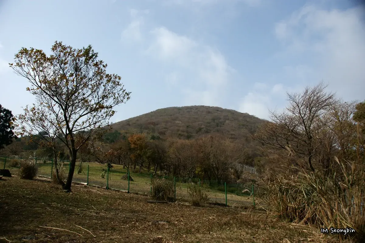 제1산록도로(1117) 현장 사진 5 — 제주 제주시 애월