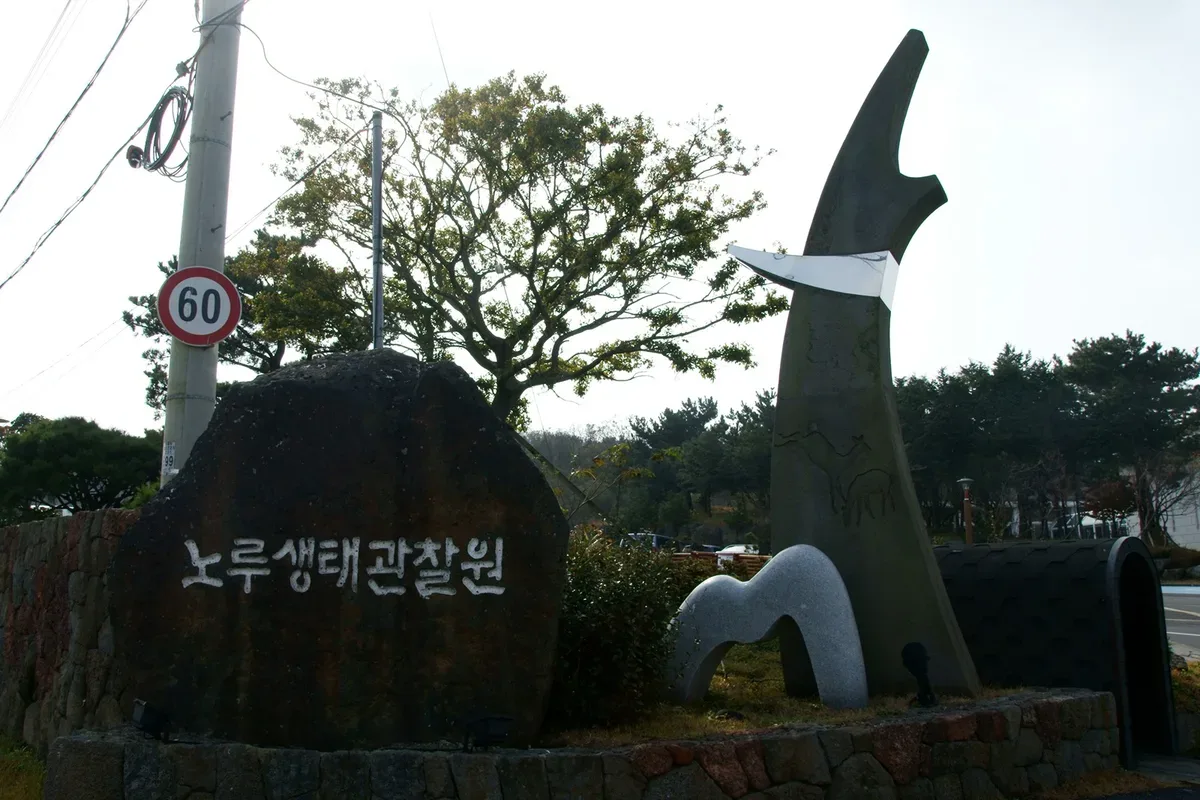 제1산록도로(1117) 대표 사진 — 제주 제주시 애월 드라이브