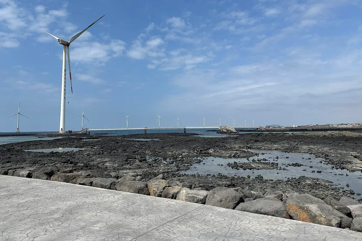 제주 신창풍차해안도로 현장 사진 4 — 제주 한경 신창