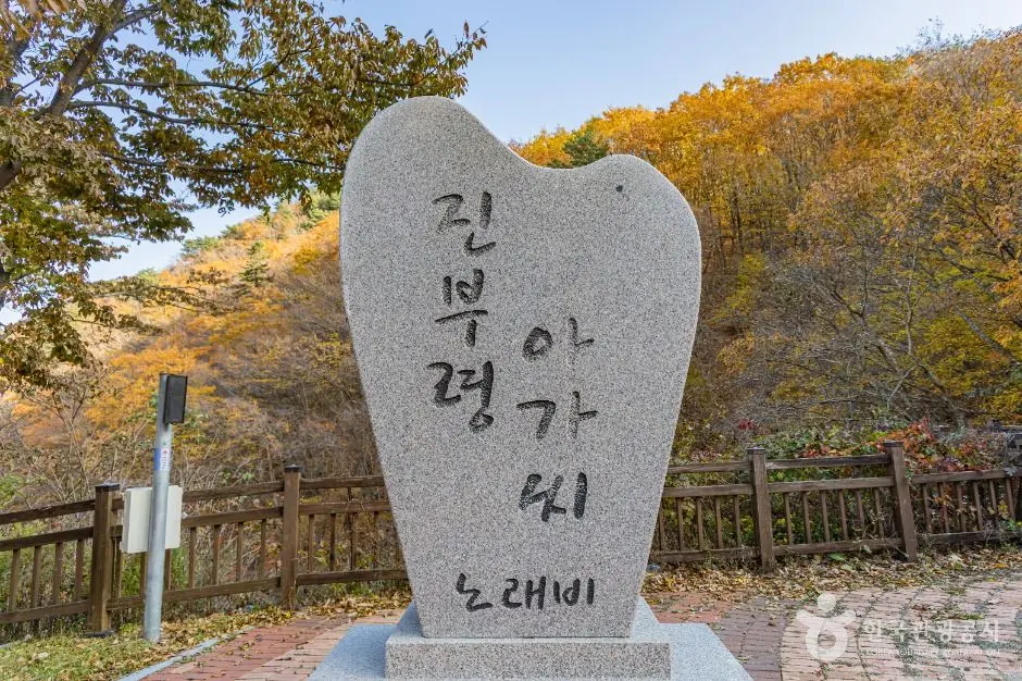 진부령 현장 사진 5 — 강원 인제~고성