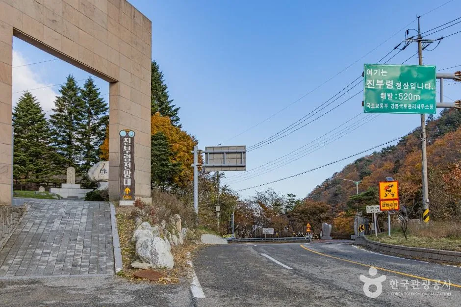 진부령 대표 사진 — 강원 인제~고성 와인딩