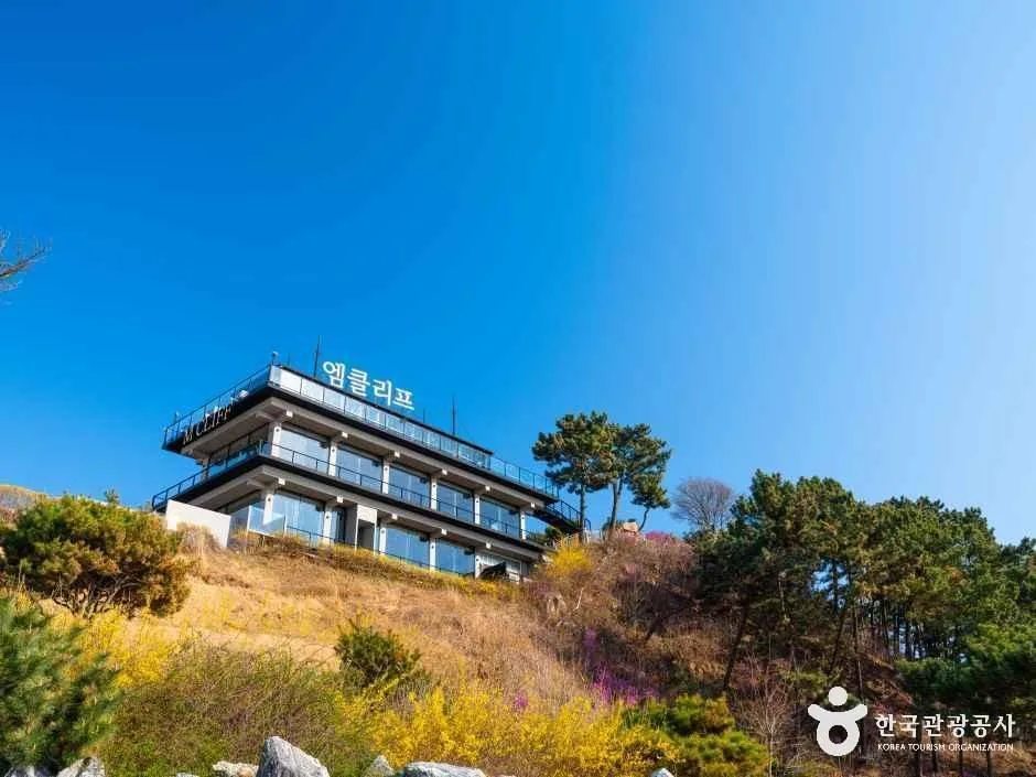엠클리프 대표 사진 — 인천 중구 영종도 카페