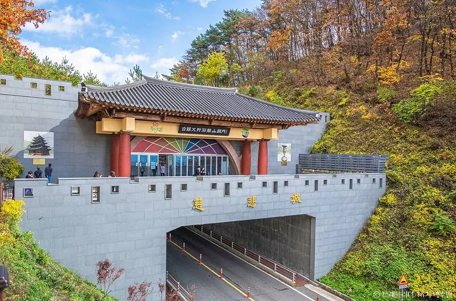 말티재 현장 사진 4 — 충북 보은 (속리산)