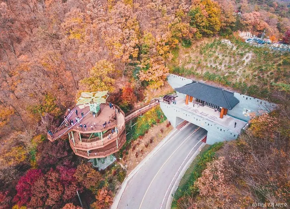 말티재 현장 사진 5 — 충북 보은 (속리산)