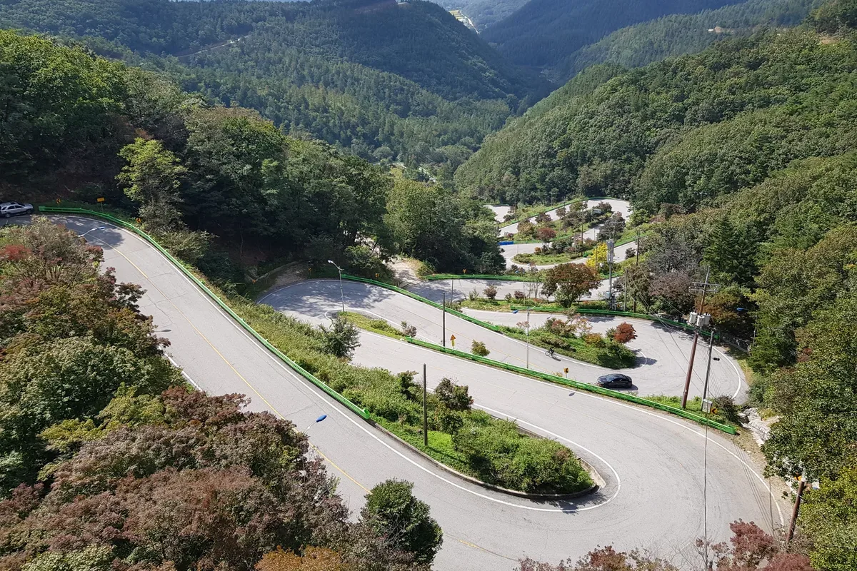 말티재 대표 사진 — 충북 보은 (속리산) 와인딩