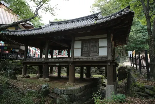 메리골드 — 대전 동구 대청호 카페