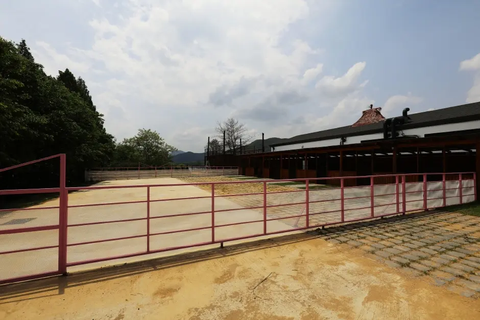 메콩 카페 현장 사진 5 — 경기 가평 청평