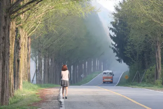 모래재 메타세쿼이아길 — 전북 진안군 부귀면 포토스팟