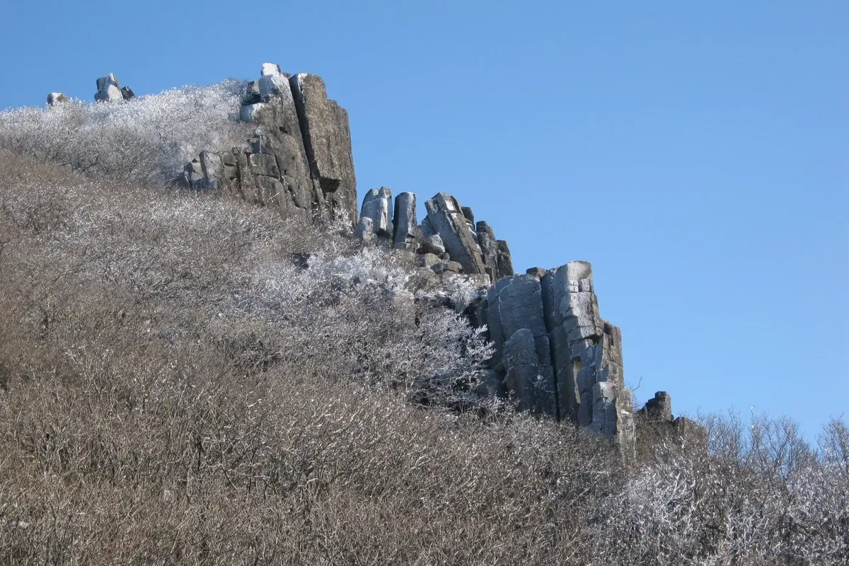 무등산 산장 와인딩(아키나) 현장 사진 2 — 광주 북구 금곡동