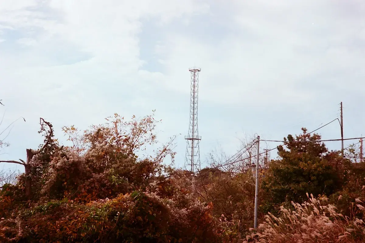 무룡산 도로 현장 사진 2 — 울산 북구