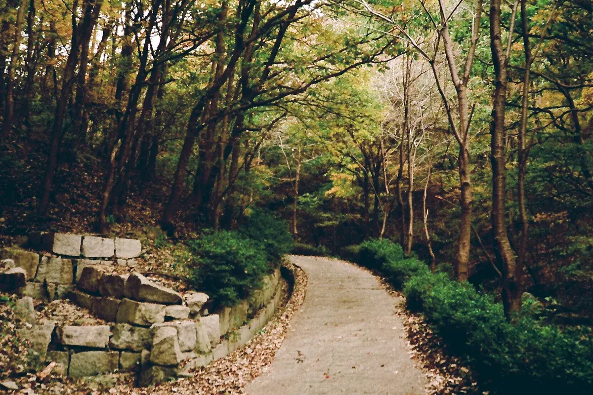 무룡산 도로 현장 사진 3 — 울산 북구