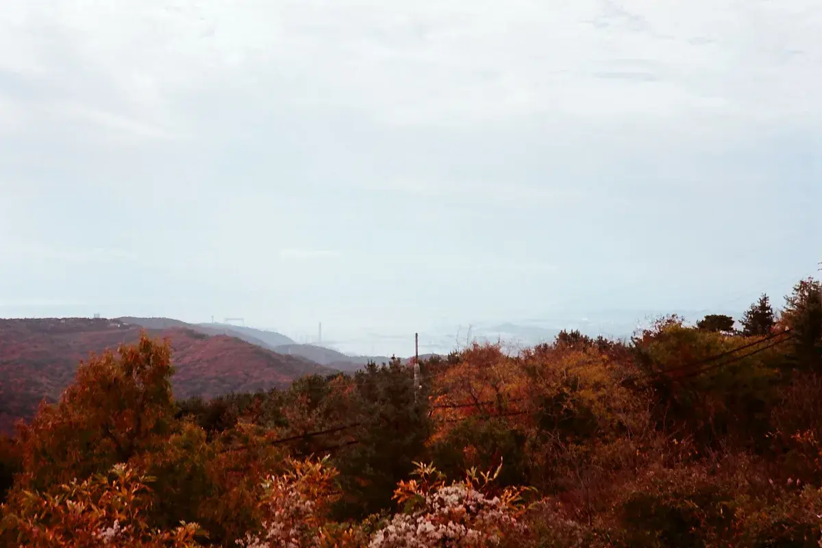 무룡산 도로 현장 사진 4 — 울산 북구