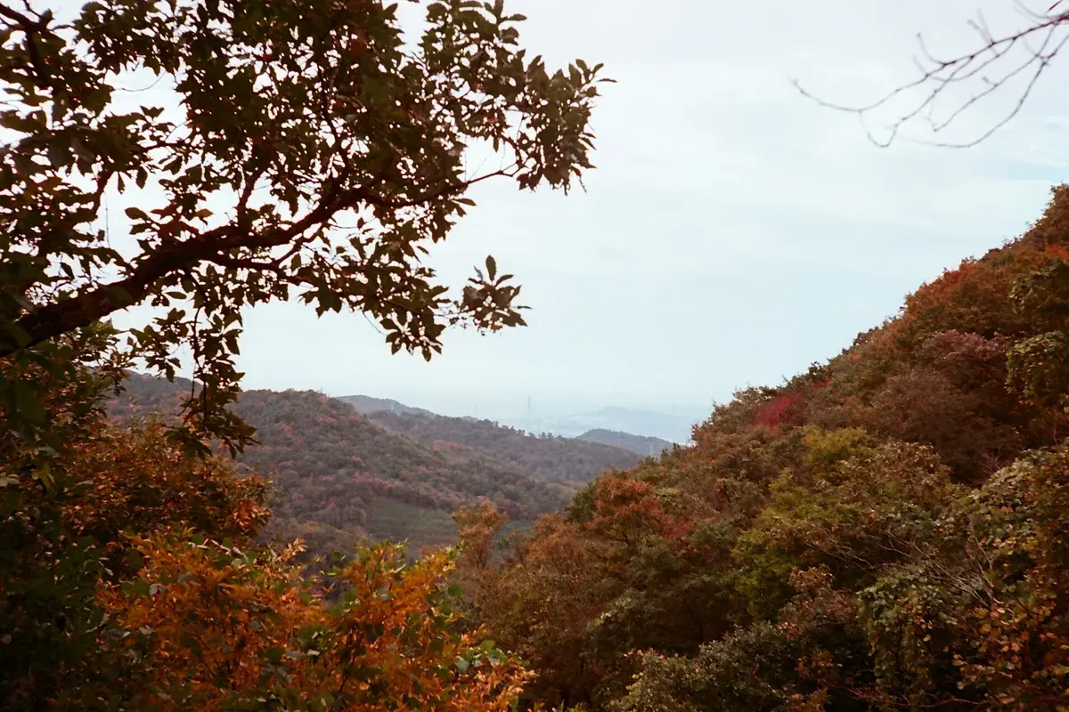 무룡산 도로 현장 사진 5 — 울산 북구