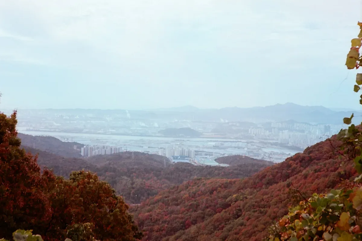 무룡산 도로 대표 사진 — 울산 북구 와인딩
