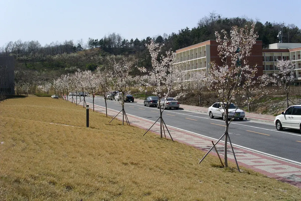 신탄진휴게소 (서울 방향) 현장 사진 3 — 대전 경부선 · 상행