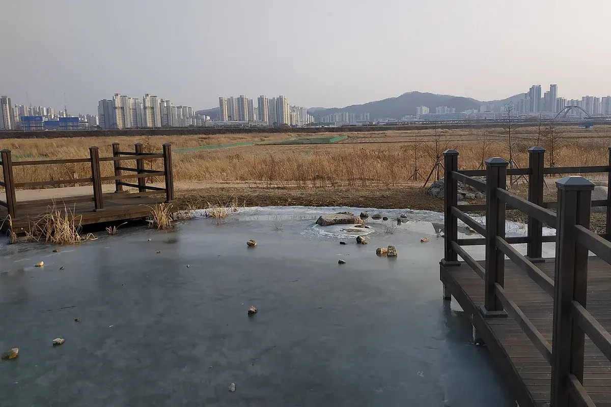 국립세종수목원 유리돔 현장 사진 4 — 세종 연기면