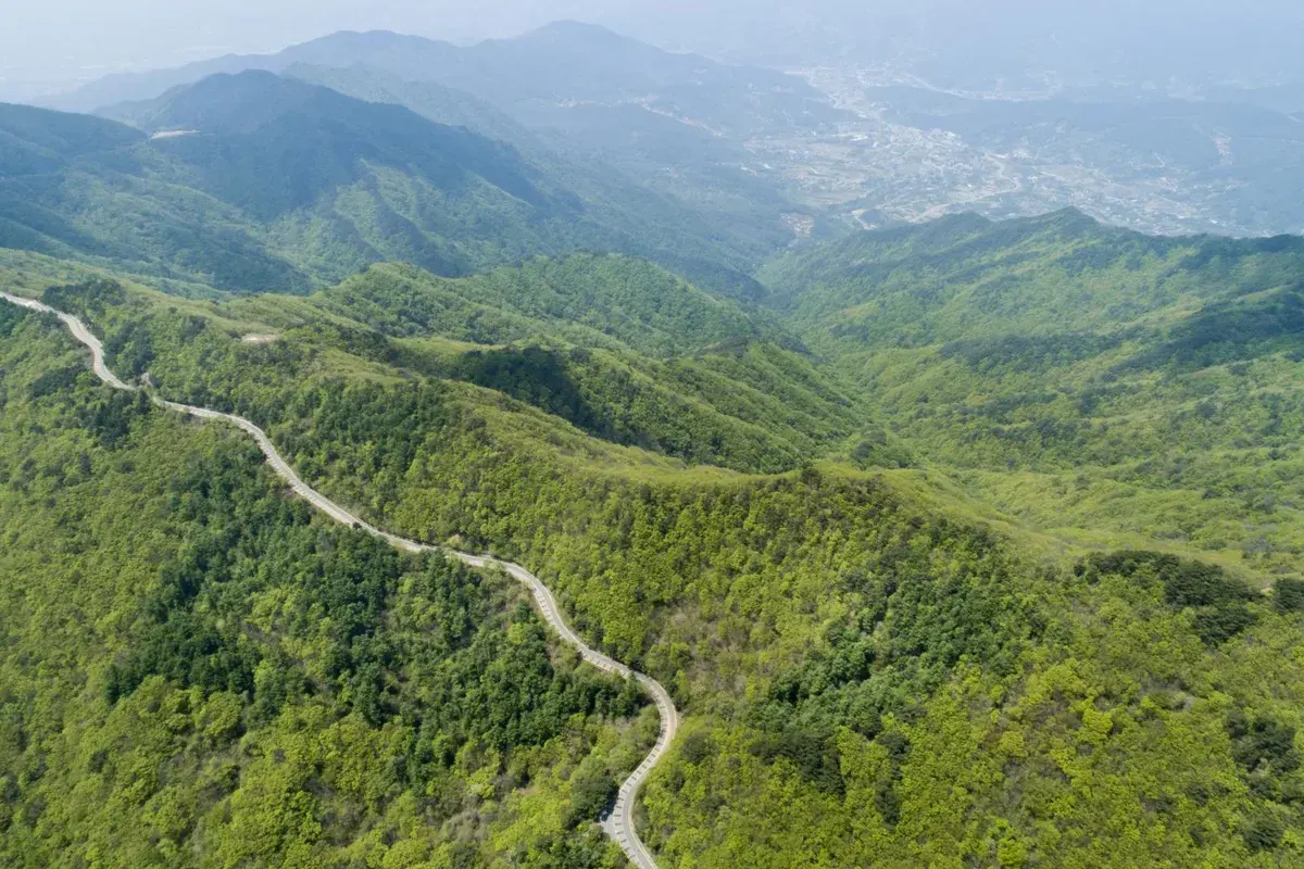 성삼재 현장 사진 4 — 전남 구례 (지리산)