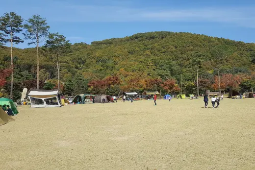 사이드바이사이드 개러지카페 — 경기 용인 모현 카페