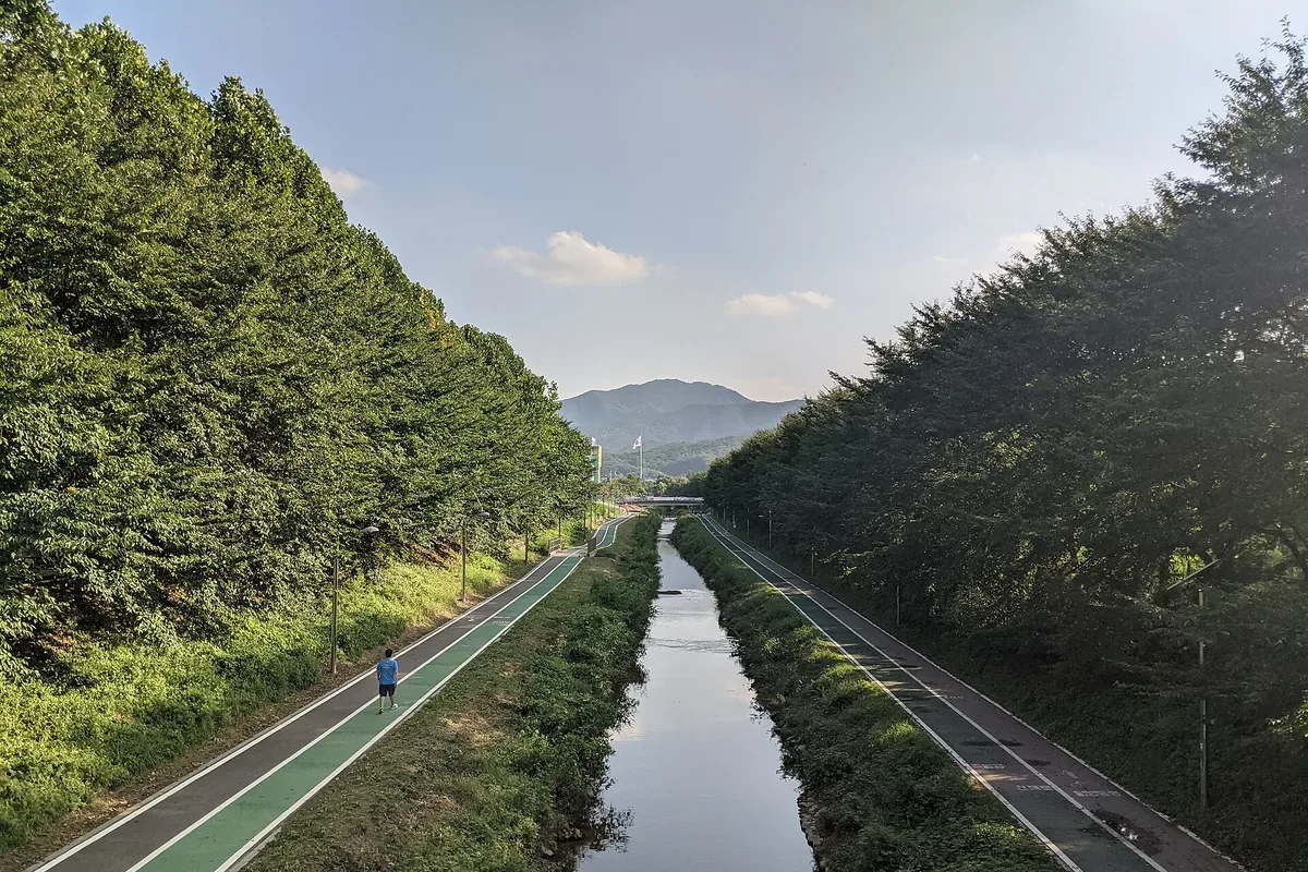 소닉모터스 도곡점(퀸즈베리 도넛하우스) 대표 사진 — 서울 강남구 도곡동 카페