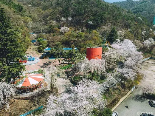 스타벅스 광주지산유원지입구점 — 광주 동구 지산동 카페