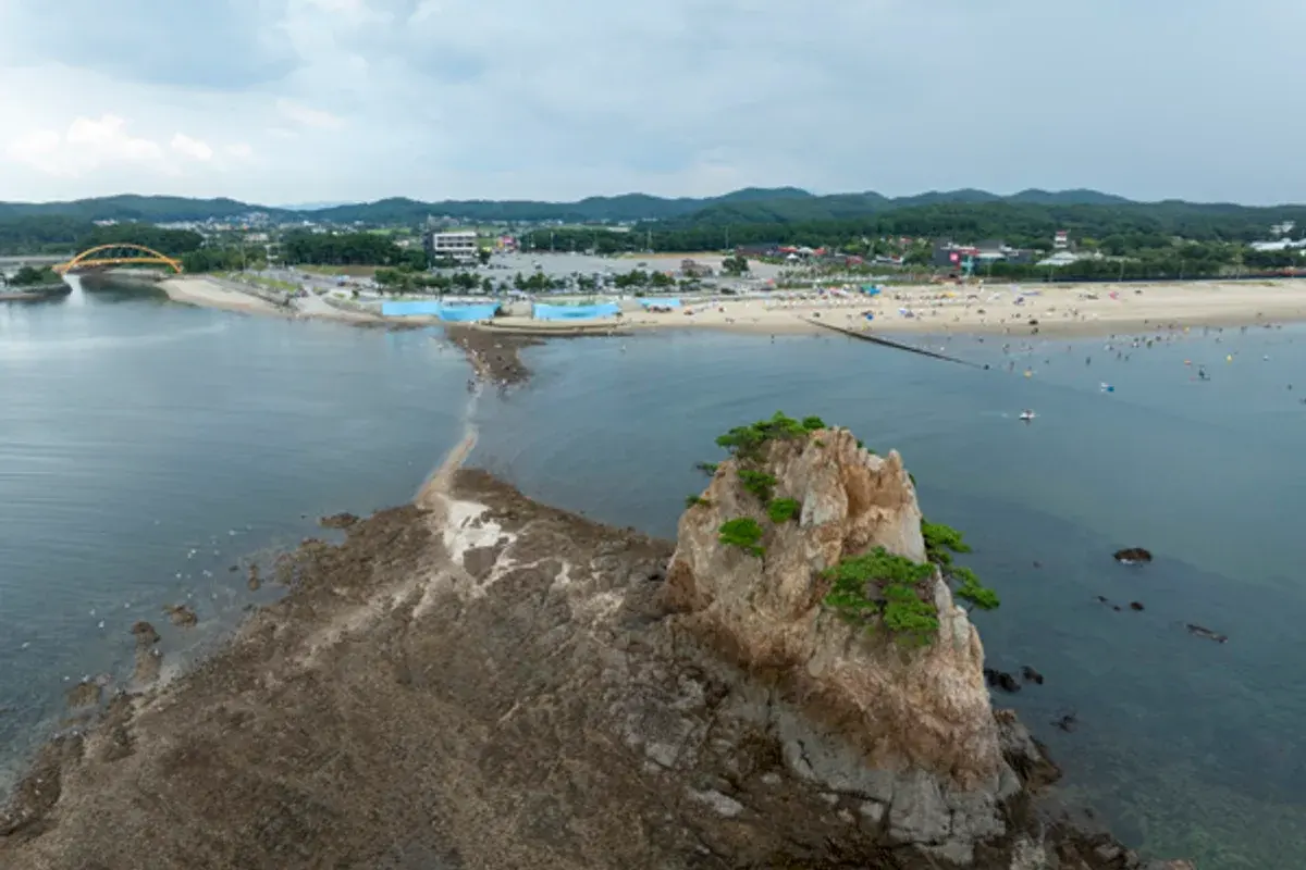 태안 안면도 해안도로 현장 사진 5 — 충남 태안 안면도